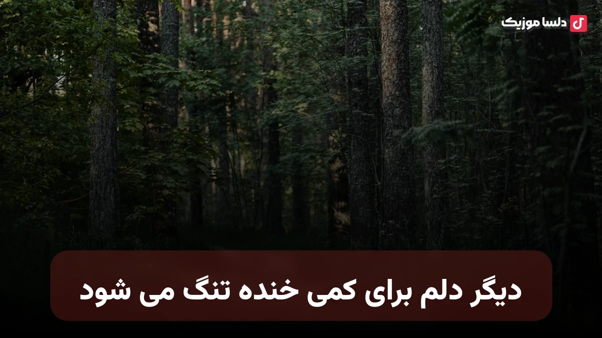 دیگر دلم برای کمی خنده تنگ می شود صدای زن
